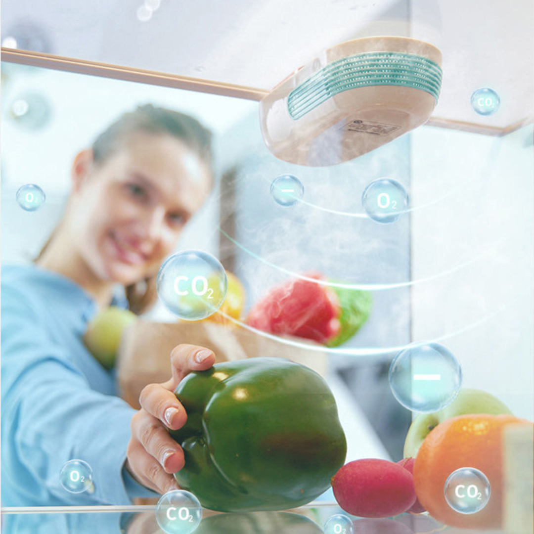 Ozone Deodorizer: Kills Fridge Odors | BenevaSmart