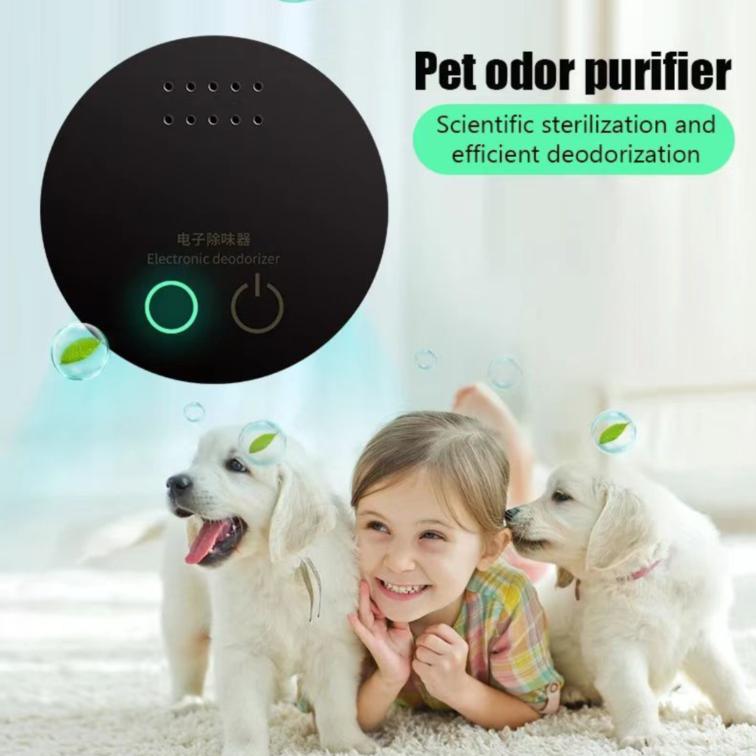 Air Purifier for Sterilization Deodorization